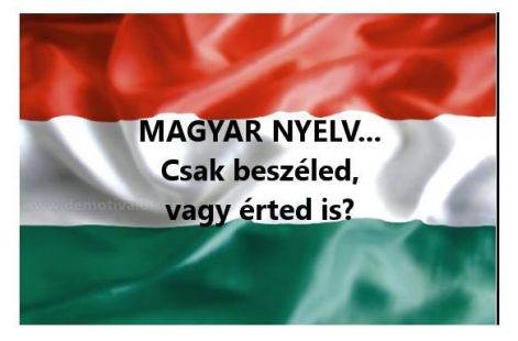 magyar_nyelv_csak_beszeled.jpg